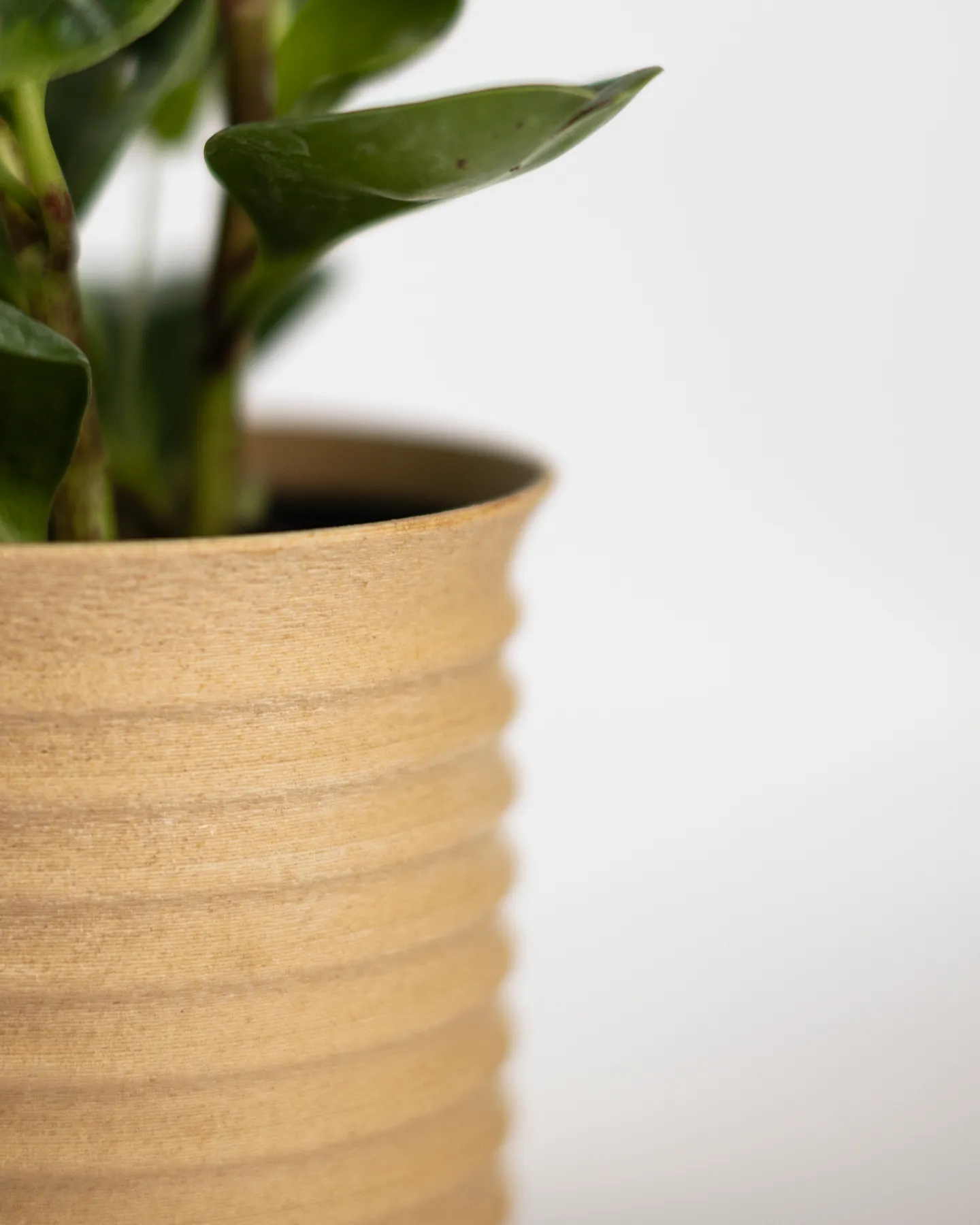 EcoWood Planter — view 6
