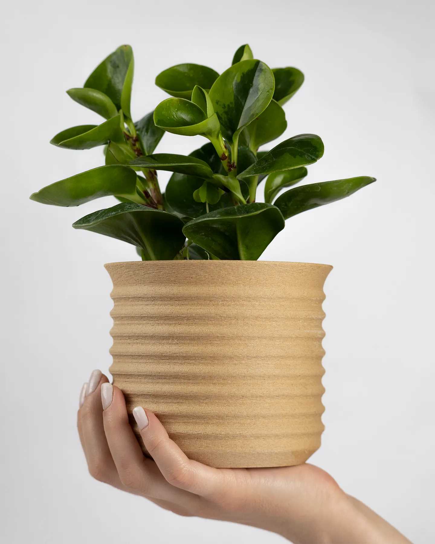 EcoWood Planter — view 7